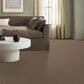 Anderson Tuftex Terra Nova Carpet in Ranch, , large