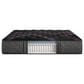 Beautyrest Black Series Two Medium Twin XL Mattress, , large