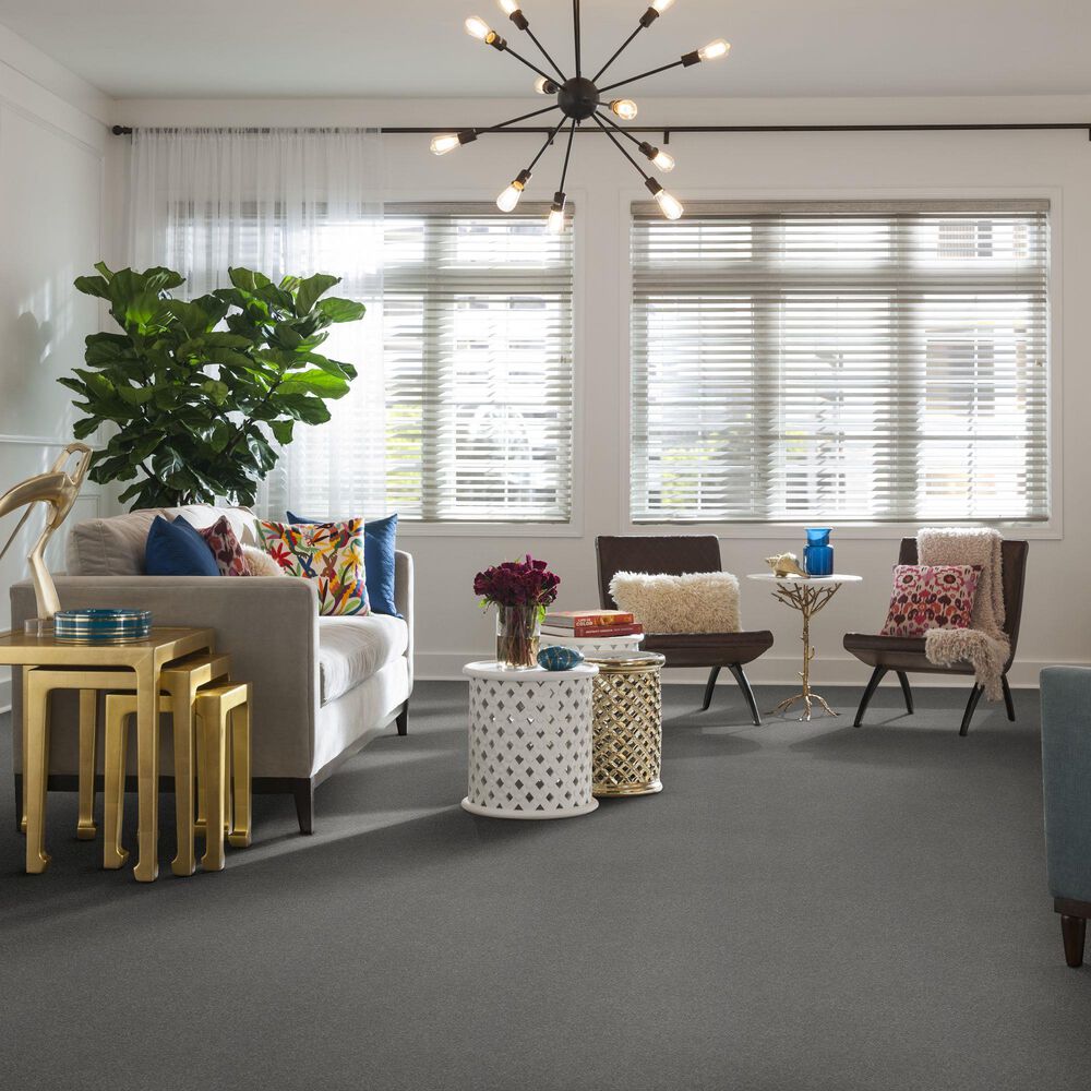 Shaw Well Grounded II 15&#39; Carpet in Dusty Trail, , large