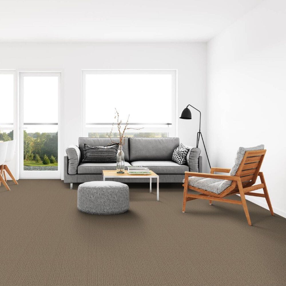 Dixie Home Galliard Carpet in Outerbanks, , large