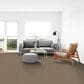 Dixie Home Galliard Carpet in Outerbanks, , large