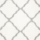 Safavieh Parma Shag PMA521A 3" x 5" Cream and Grey Area Rug, , large