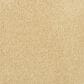 Masland Miami Carpet in Honey Harbor, , large