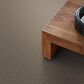 Anderson Tuftex Enlightened Carpet in Toasty Gray, , large