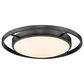 Golden Lighting 16.5" Astra Flush Mount in Matte Black, , large