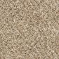 Mohawk Claws and Effect I Carpet in Bisque, , large