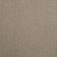 Dixie Home Galliard Carpet in Pavillion, , large