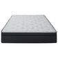 Sleeptronic Berkshire Oracle Plush Euro Pillow Top Twin XL Mattress, , large