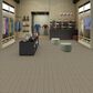 Shaw Be Present Carpet in Spirit, , large