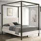 Pacific Landing Monroe Queen Upholstered Canopy Bed in Vanilla White, , large
