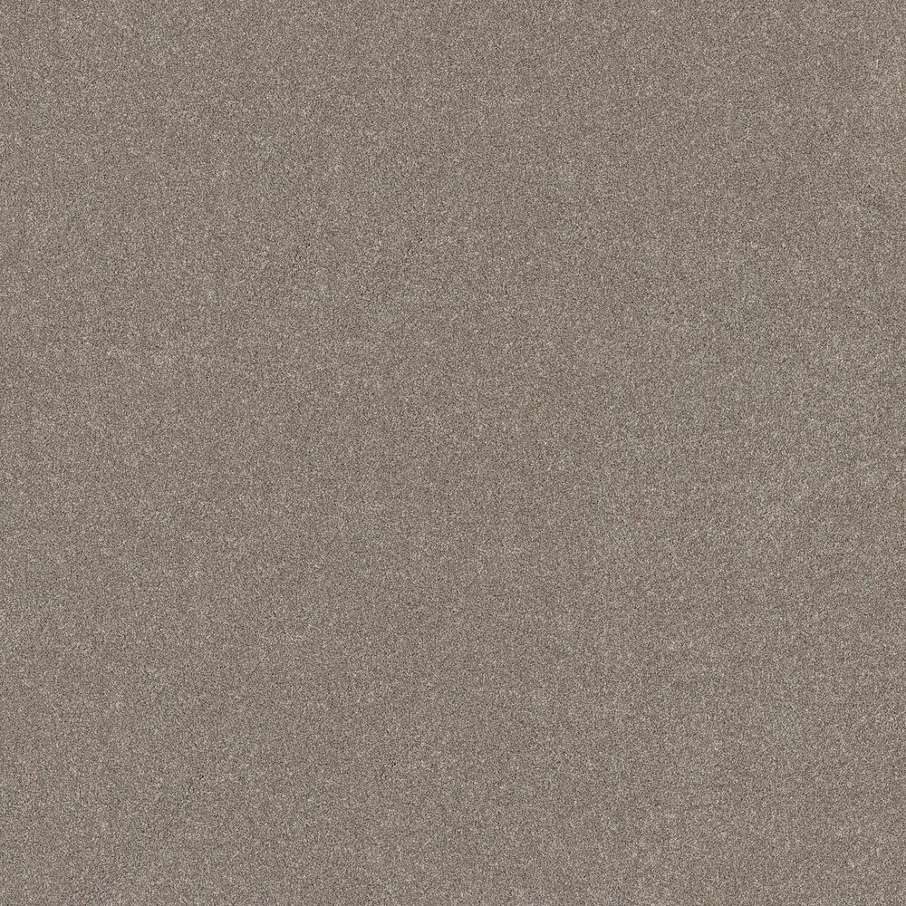 Shaw New Memories T Carpet in Mocha, , large