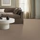Anderson Tuftex Cypress Falls Carpet in Buff, , large