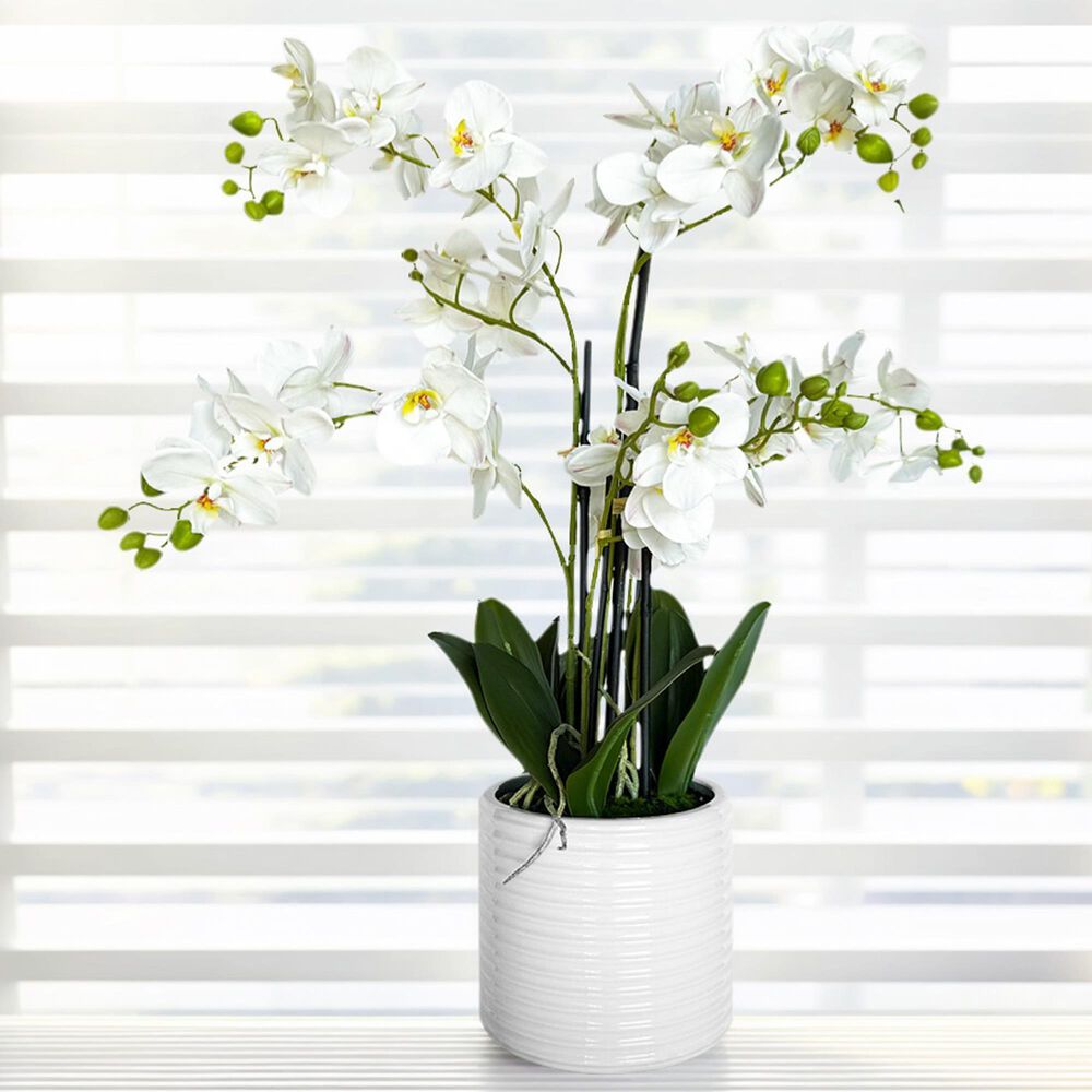 HOMLUX 26" Artificial Orchid Plant with 5 Stems Decorative and Ceramic Pot in White, , large