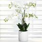 HOMLUX 26" Artificial Orchid Plant with 5 Stems Decorative and Ceramic Pot in White, , large