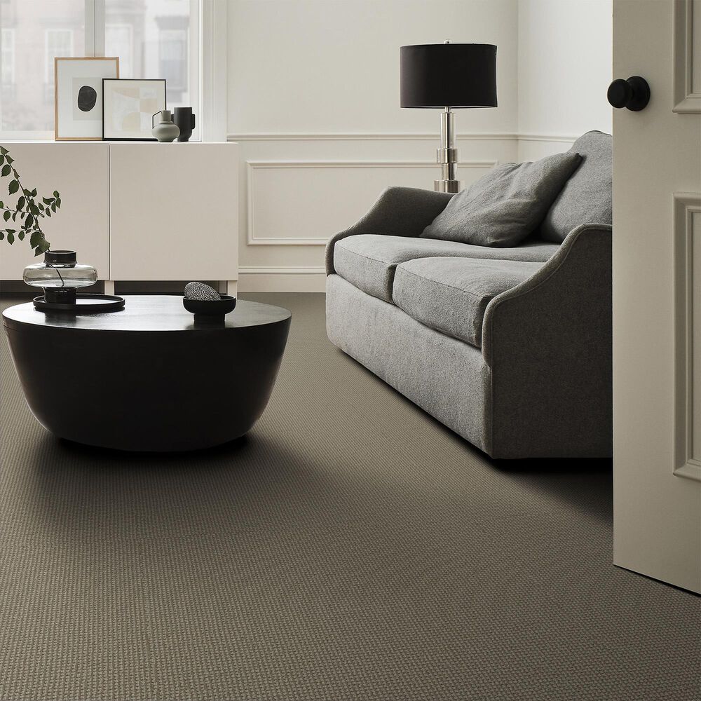 Anderson Tuftex Inspired Carpet in Mohair, , large
