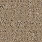 Shaw Studio Plaza Carpet in Worn Path, , large