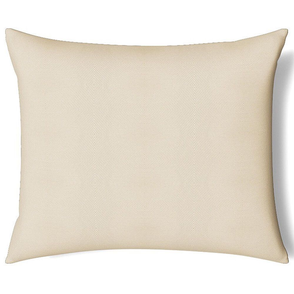 Ann Gish Vector 36" x 30" Throw Pillow in Ecru, , large