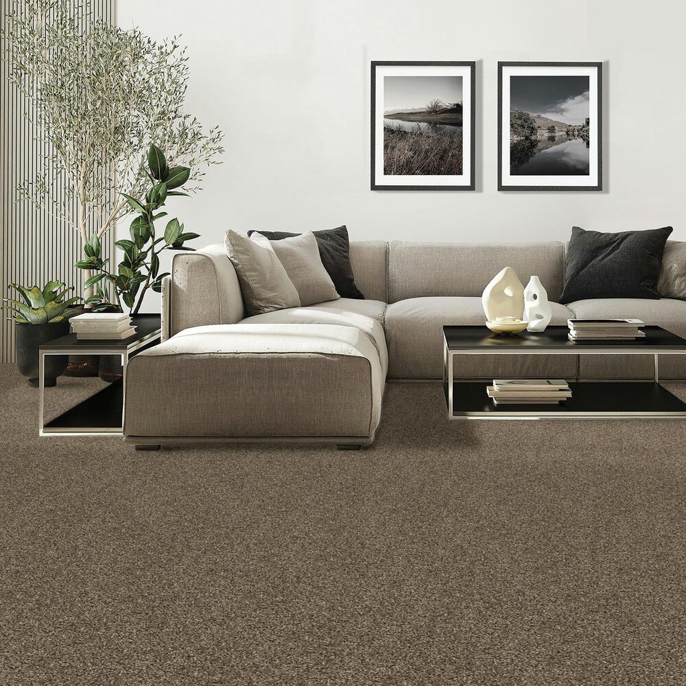 Mohawk Diffurent Choice III Carpet in Legend, , large