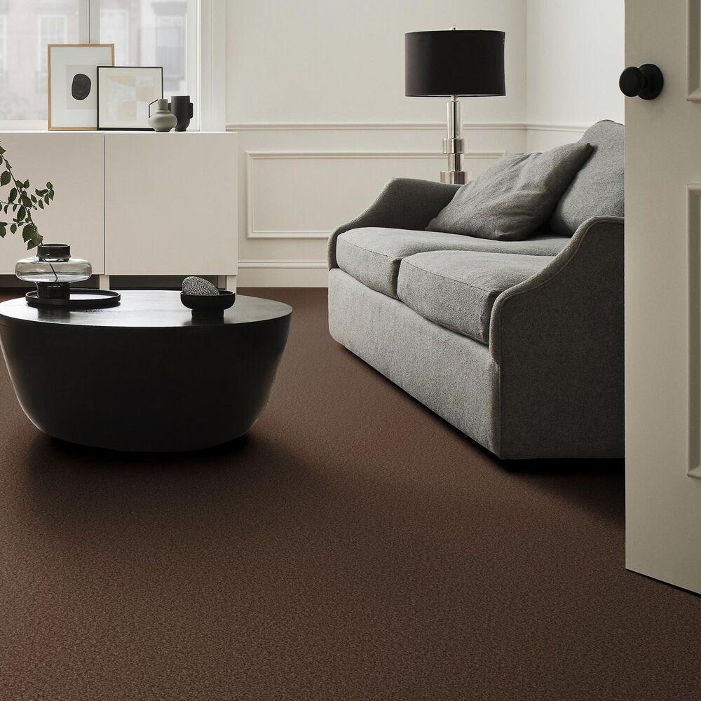 Shaw Tonal Comfort I Carpet in Chili, , large