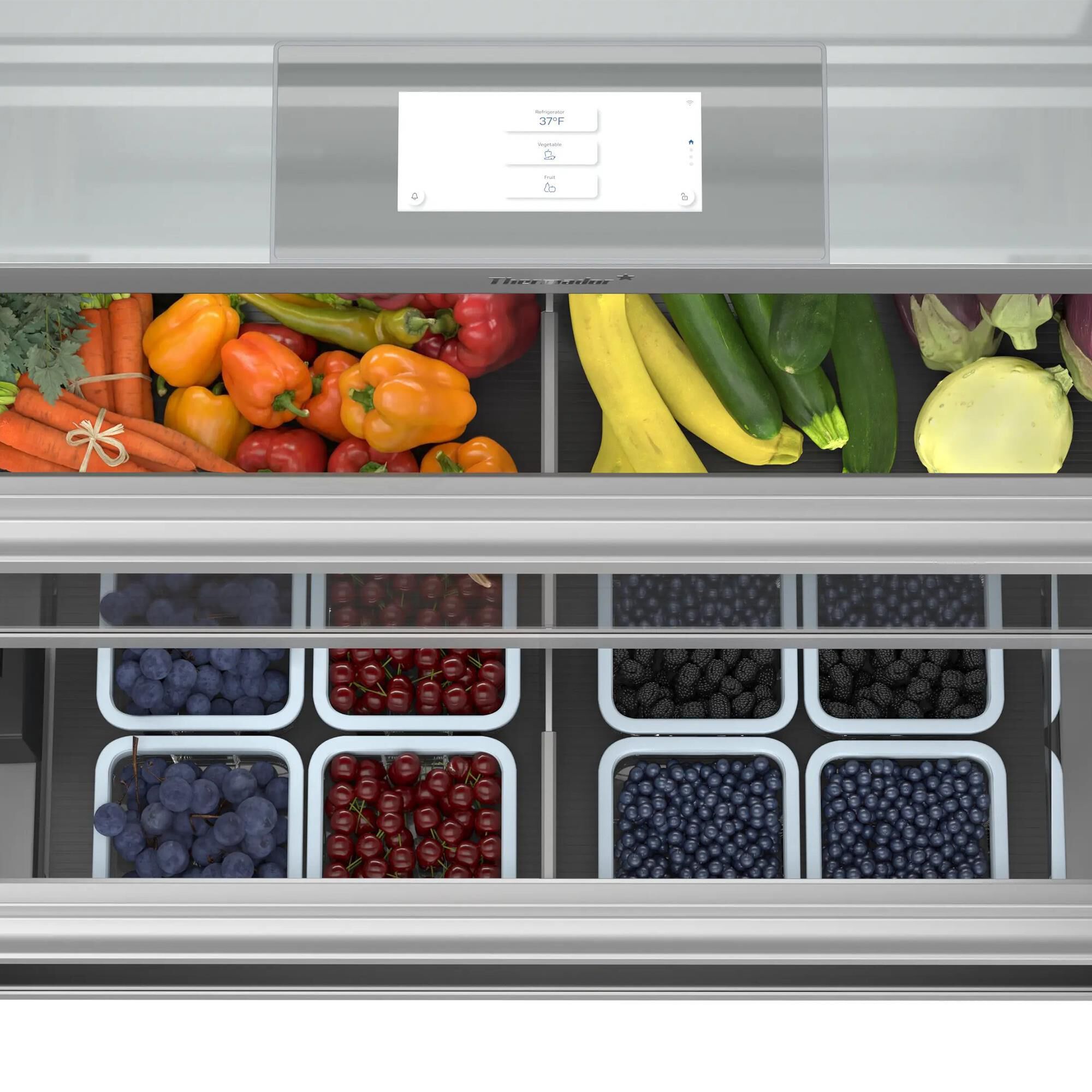 Thermador Freedom 22 Cu. Ft. Built-In Refrigerator Column in Panel