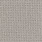 Lonesome Oak Ambition Carpet in Merino, , large