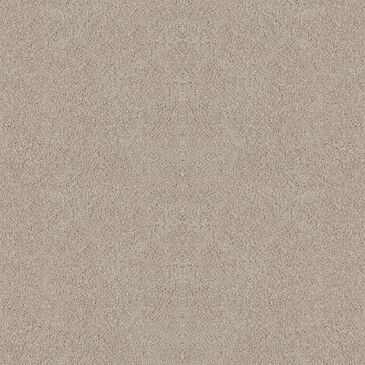 Dixie Home Winding Creek Carpet in Maple Tint, , large