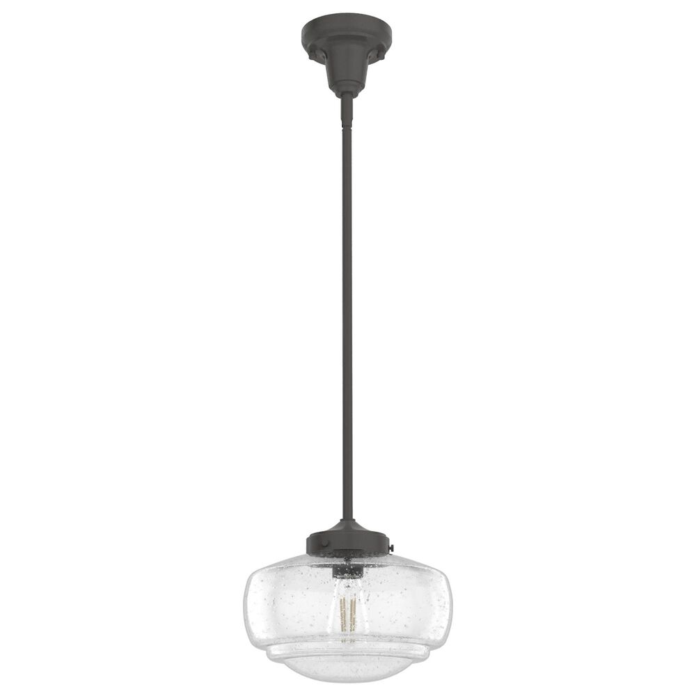 Hunter Saddle Creek 10" 1-Light Pendant with Clear Seeded Shade in Noble Bronze, , large