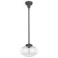 Hunter Saddle Creek 10" 1-Light Pendant with Clear Seeded Shade in Noble Bronze, , large