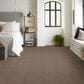 Shaw Del Morro Carpet in Fallen Rock, , large