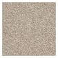 Shaw Detailed Tonal Carpet in Latte, , large