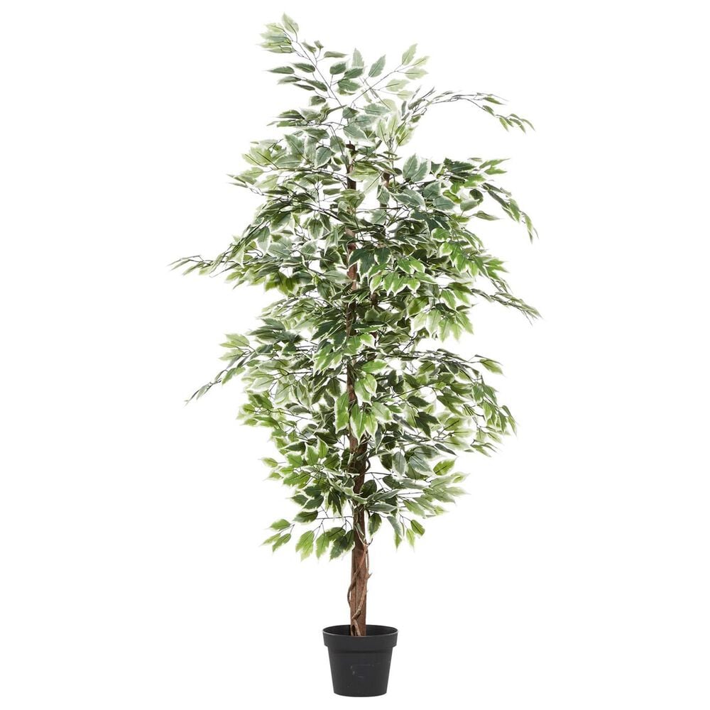 Maple and Jade Indoor/Outdoor Tall Artificial Ficus with Black Plastic Pot in Green and Brown, , large