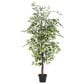 Maple and Jade Indoor/Outdoor Tall Artificial Ficus with Black Plastic Pot in Green and Brown, , large