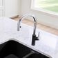 Blanco Urbena 1.5 GPM Pull-Down Kitchen Faucet in Chrome and Anthracite, , large