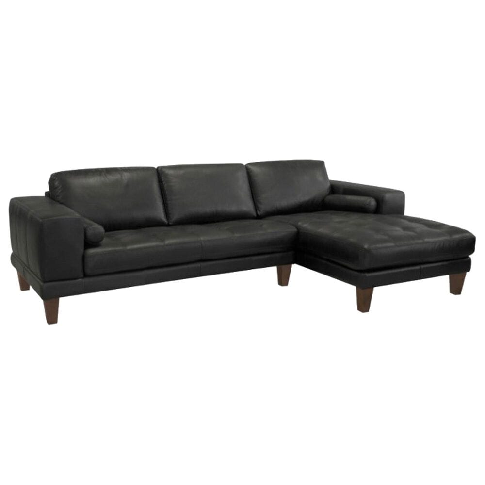 Blue River Wynne 2-Piece Right Facing Sectional with Chaise in Black, , large