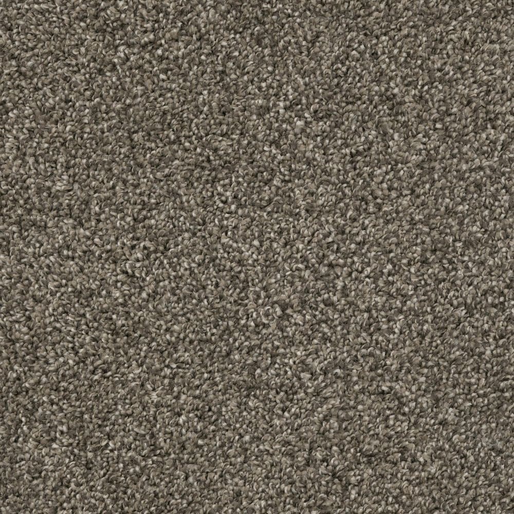 Dixie Home Riverbend Carpet in Boulder, , large