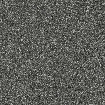 Dixie Home Main Force Carpet in Onyx, , large