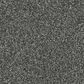 Dixie Home Main Force Carpet in Onyx, , large