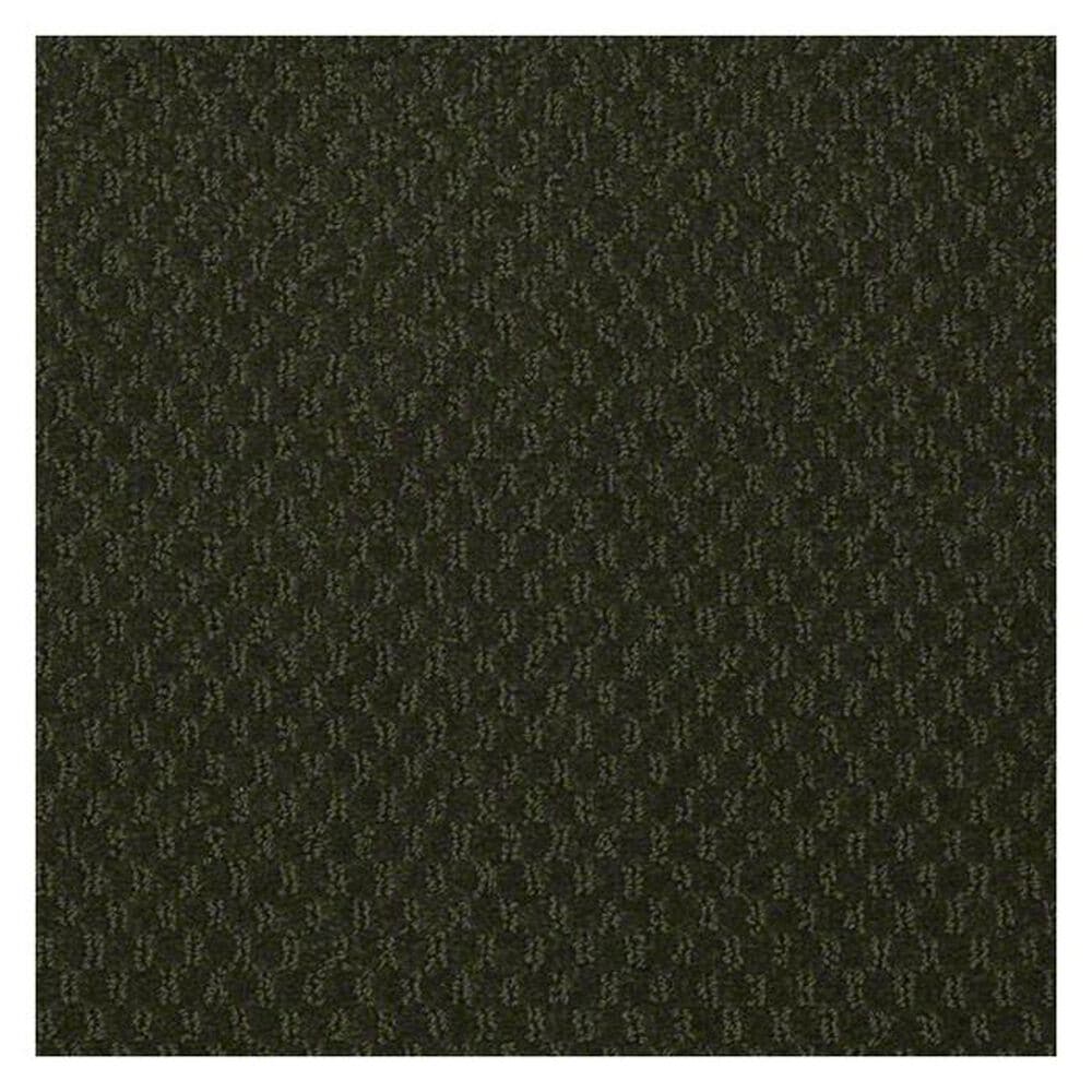 Shaw Latest Trend Carpet in Mount Holly, , large