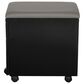 Valor Living Mobile File with Padded Seat in Black, , large