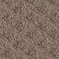 Shaw Midland Charm Carpet in Pure Earth, , large