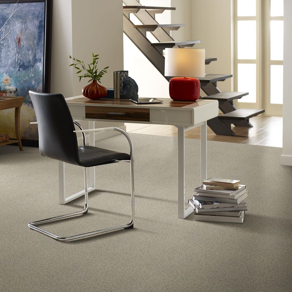 Shaw Anderson Acadia Park Carpet in Shadow, , large