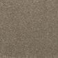 Karastan Subtle Shades Carpet in Sweet Pea, , large