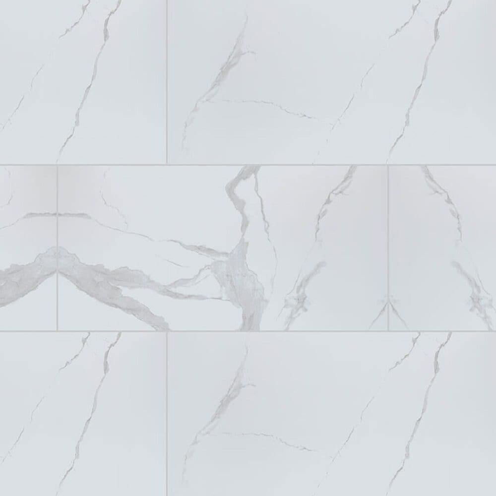 MS International Eden Statuary 12" x 24" Polished Porcelain Tile, , large