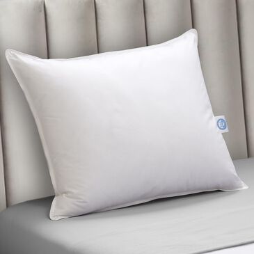 Allied Home Goose Down RDS Standard Pillow in White, , large