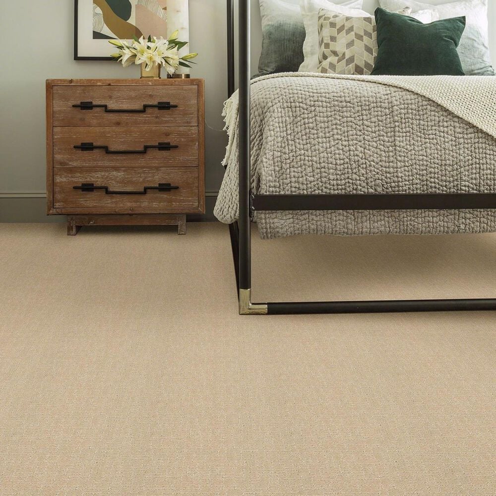 Anderson Tuftex New Tricks Carpet in Hazelnut, , large
