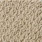 Shaw Detailed Statement Loop Carpet in Taffeta, , large