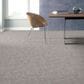Anderson Tuftex Caress Free Spirit Carpet in Minimal, , large