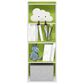 HOMLUX 4-Tier Open Shelf Bookcase in Green and White, , large
