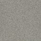 Shaw Acadia Park Carpet in Drift, , large