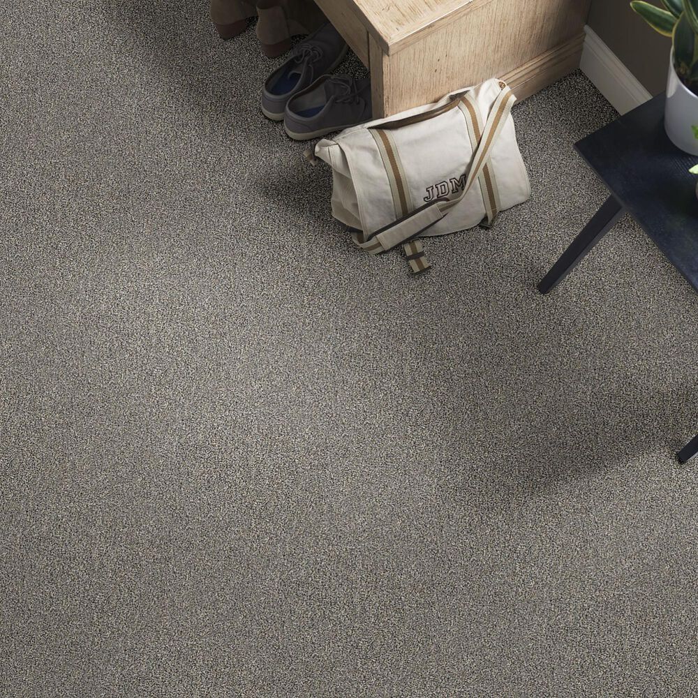 Shaw Within Reach III Carpet in Kidskin, , large